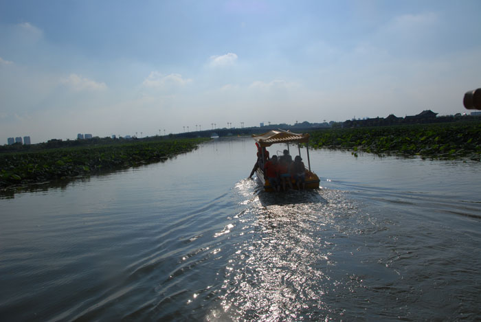 Ϧ�������ӭ�������ϰ�